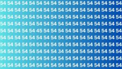 Optical Illusion Challenges Visual Precision as 45 and 34 Hide Among a Grid of Look-Alike 54s