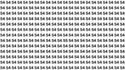 Visual Illusion Challenge: Can You Spot 45 and 55 Hidden Among 54s