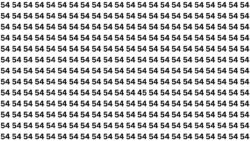 Observation Puzzle Challenge: Find 45 Hidden Among 54s Without Losing Focus