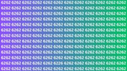 Optical Illusion Challenge: Locate 6226 Among 6262s Within 7 Seconds