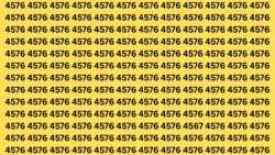 Optical Illusion Challenge: Can You Detect 4567 Hidden Among 4576s?