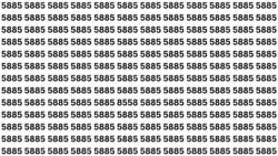 Optical Illusion Challenge: Can You Spot the Number 8558 Within 8 Seconds?