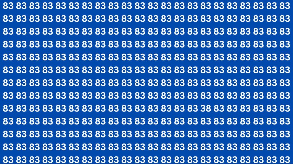 Optical Illusion Challenge