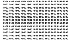 Optical Illusion Challenge: Can You Catch 4662 Among 4992s at First Glance?