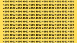 Optical Illusion IQ Puzzle: Spot 4662 Hidden in 9 Seconds