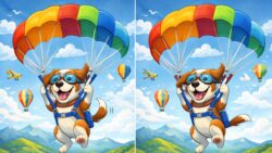 Spot 3 Differences in the Dog Flying with a Parachute Picture