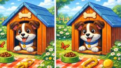 Spot the Difference Challenge: Can You Detect 3 Hidden Changes Within 7 Seconds