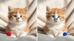 Visual Puzzle Challenge: Spot 3 Differences in the Kitten Image Within 12 Seconds